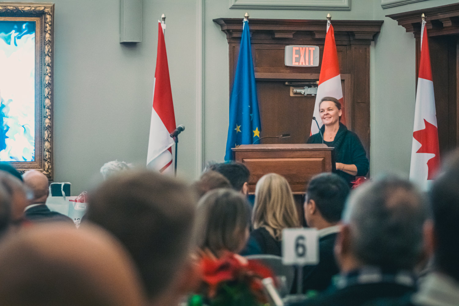 Speaker at podium DCCC event with flags