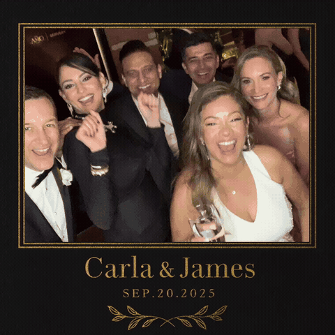 Ring Roamer boomerang sample 1