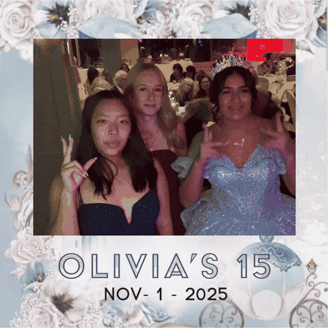 Ring Roamer boomerang sample 3